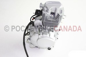 engine 813 250cc w. reverse3